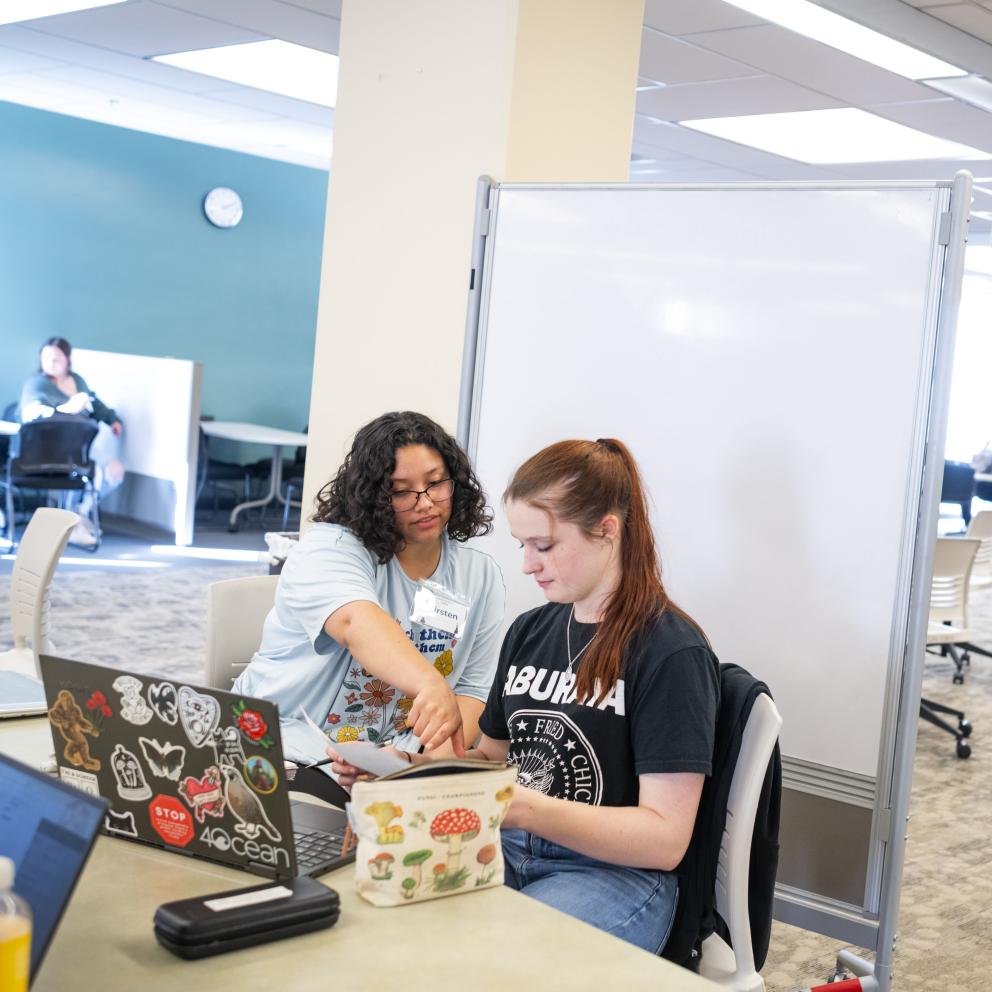 tutor and student working in drop in tutoring lab