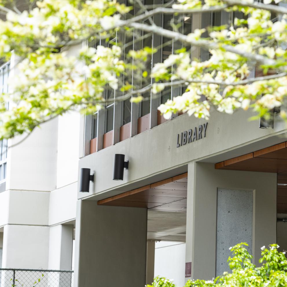 Exterior view of the front of the library with blossoms on the tree