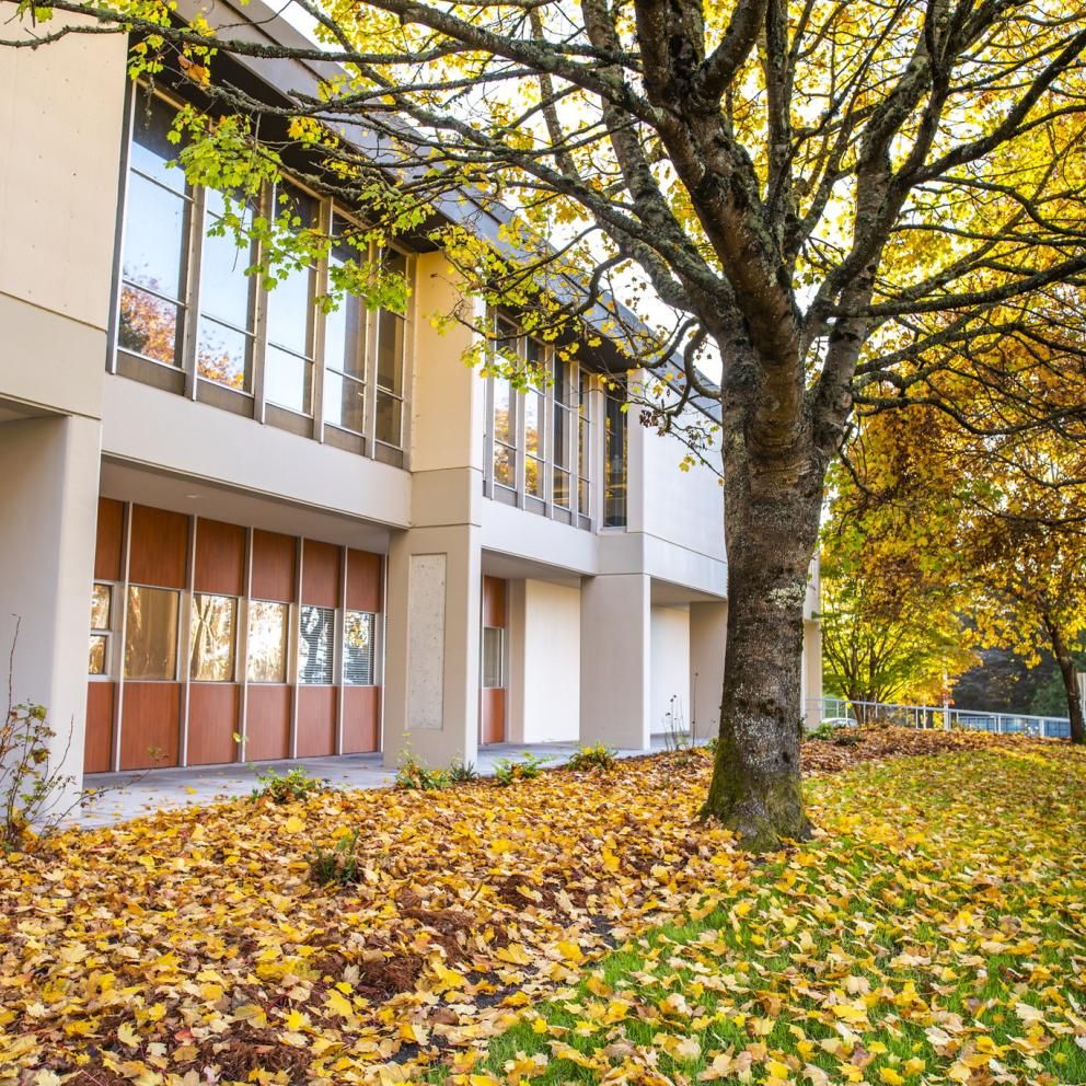 Exterior view of the side of the library with orange and gold leaves on the ground