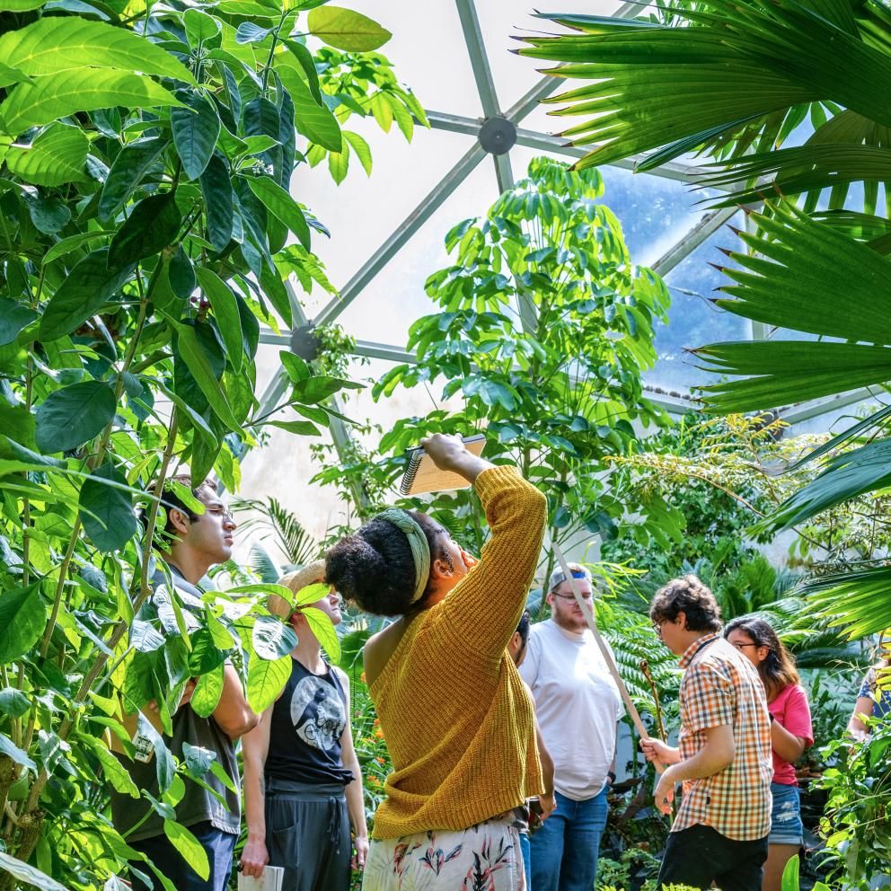 Students in a greenhouse engaged with learning