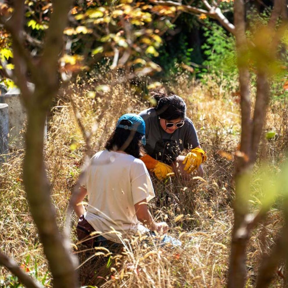 Native American Studies Work Day