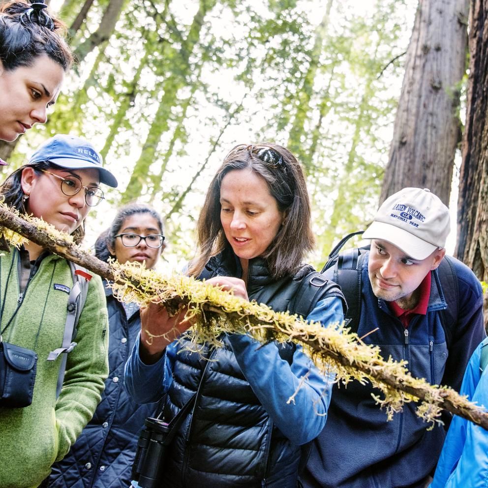 Class in Prairie Creek observing moss on branch.
