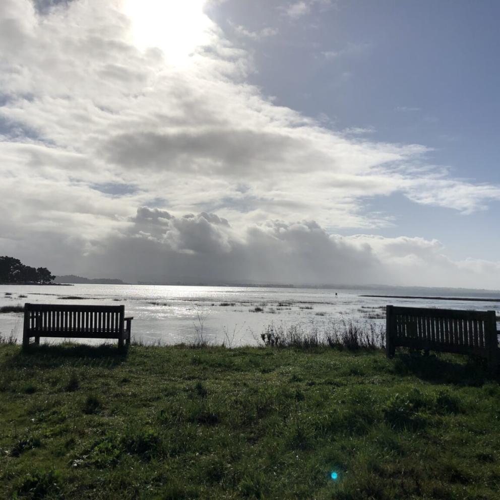 image of benches overlooking humboldt bay