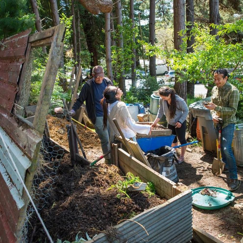 compost bins at ccat
