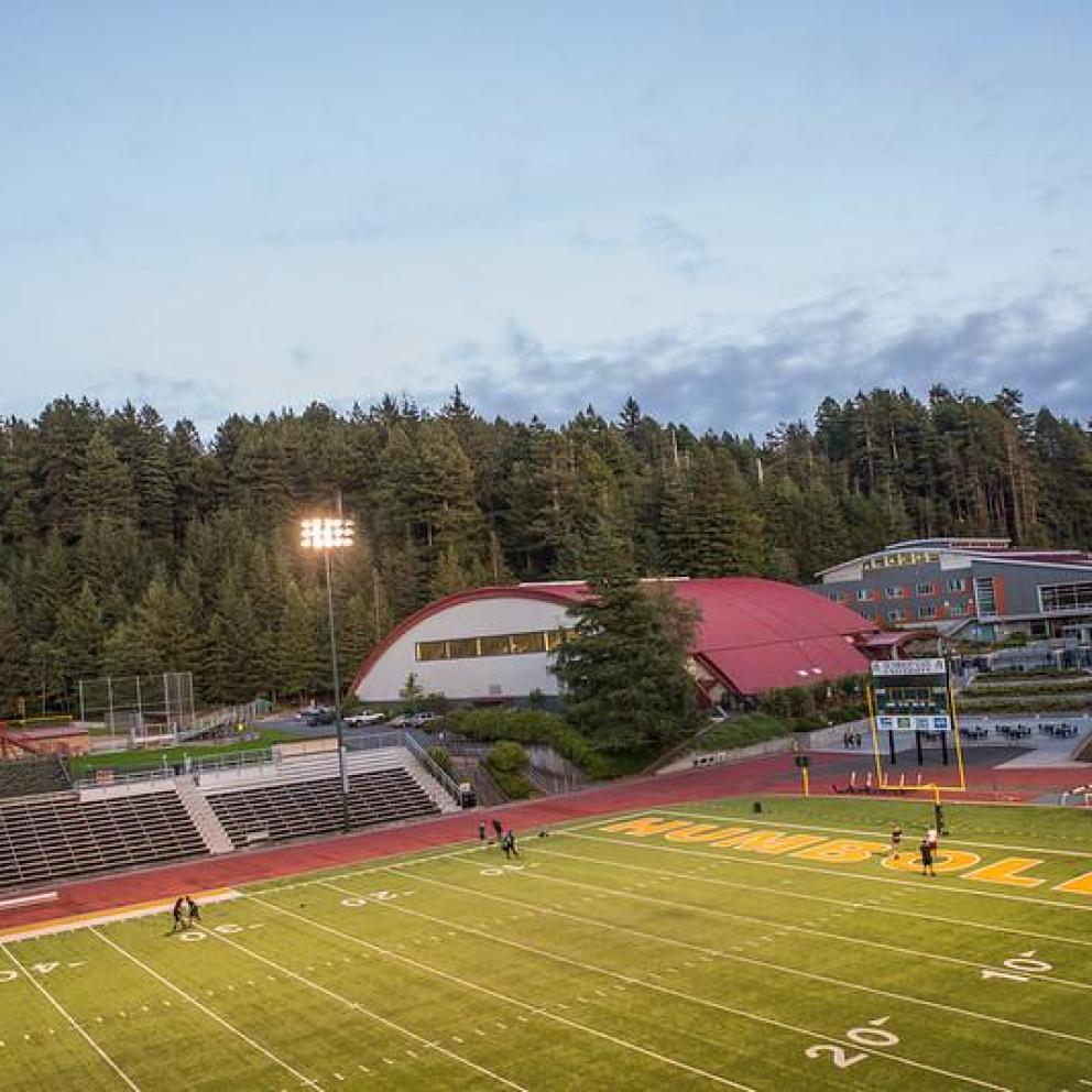 redwood bowl