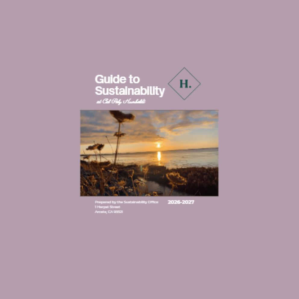 Image shows front page of Guide to Sustainability, with purple background and a photo of marsh sunset.
