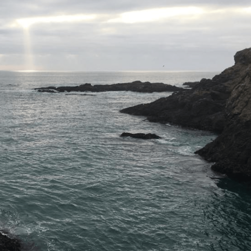 Ocean landscape