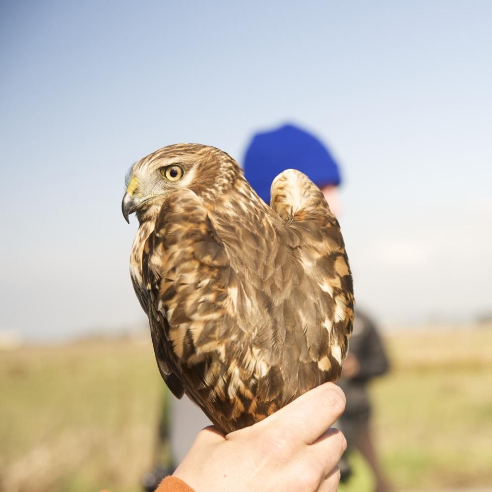 a student holding a bird and blurred students in the background