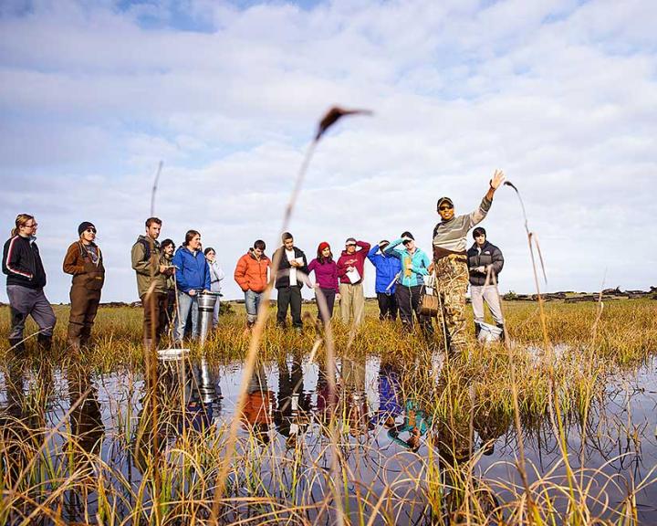 Wildlife, Ecology and Management of Wetlands