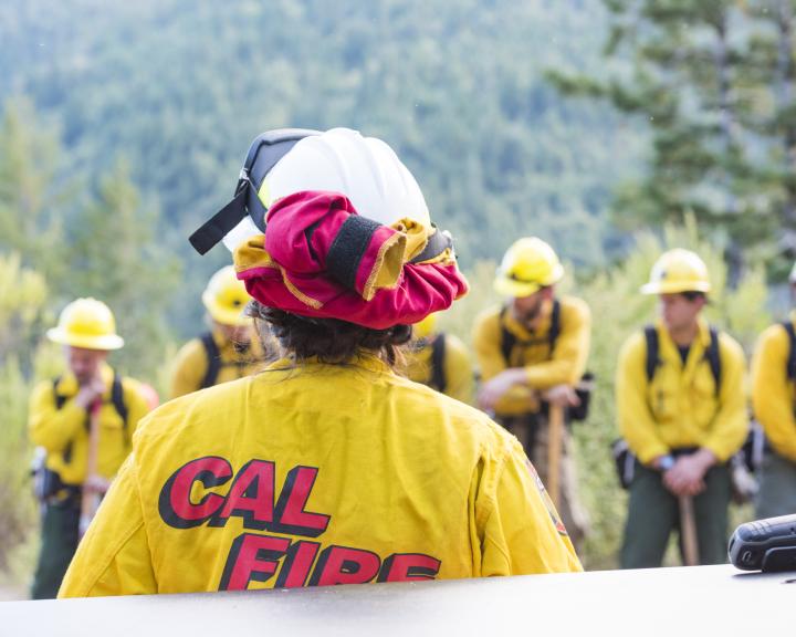 a person in the foreground wearing a cal fire shirt and a blurry line of people in front