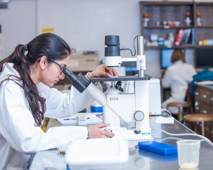 students with dark long hair looking into a microscope in the lab
