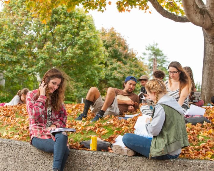 group of students sitting under a tree with fall leaves on the ground