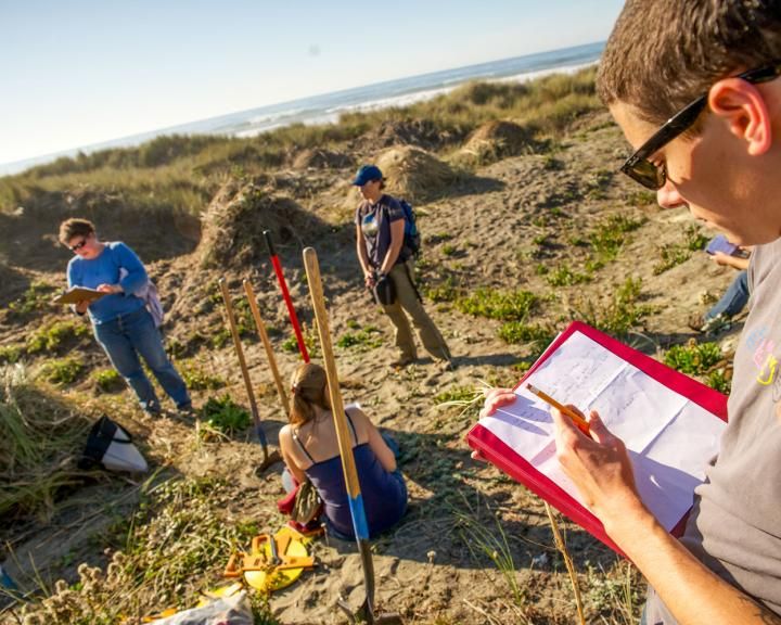 students out in the field - at the beach/dunes