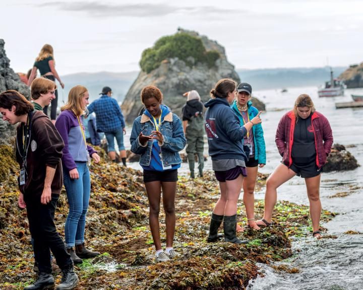 students in a group at a rocky beach looking at the ground