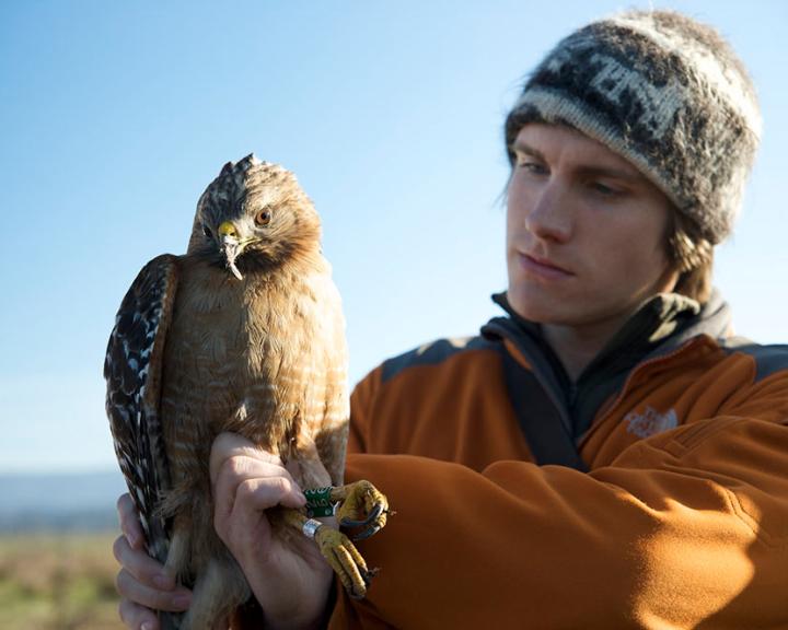 Wildlife student holding a raptor