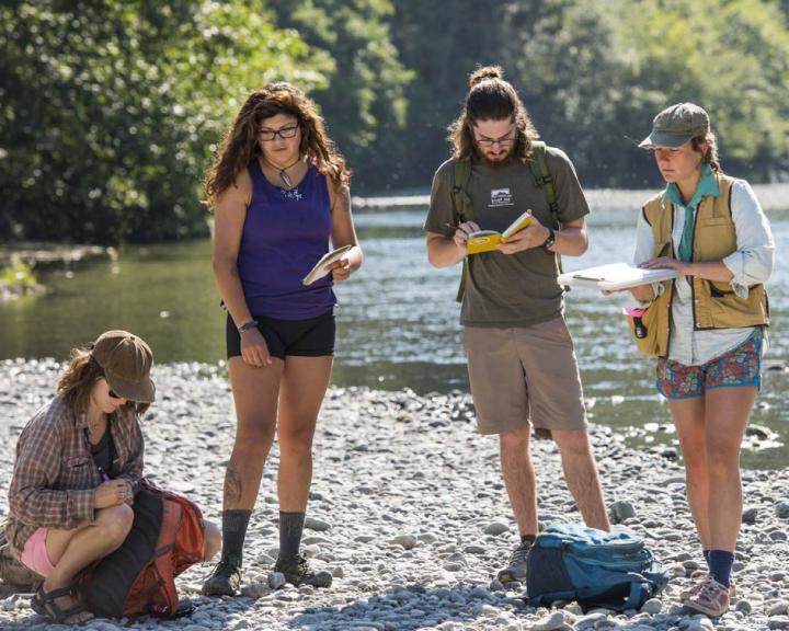 Students doing research on river bar