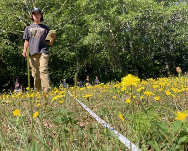 student working in a field with yellow flowers