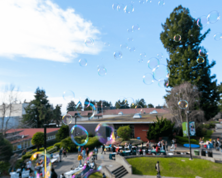 A group of people gathered for a celebration with Siemens Hall visible in the background through floating bubbles