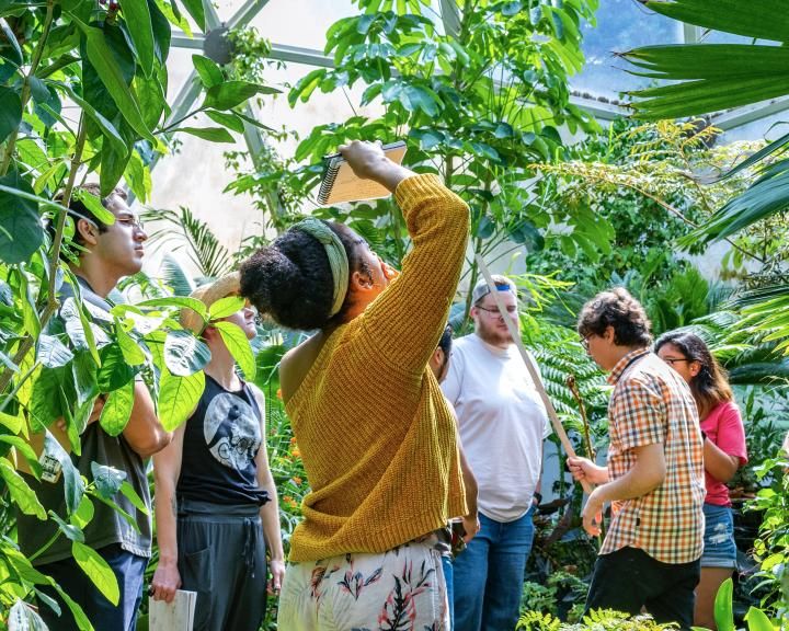 Students working in the greenhouse