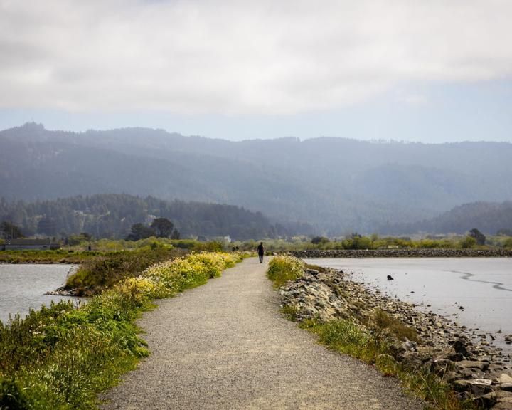 The California Center for Rural Policy - Humboldt County - Arcata Marsh