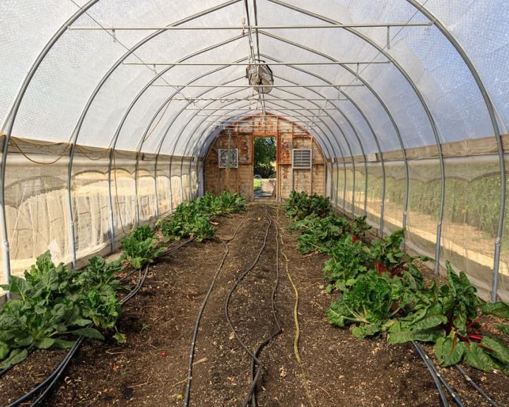 Justice-Impacted Workers: Meaningful Land Work and Wellness Initiative - Redwood Region RISE