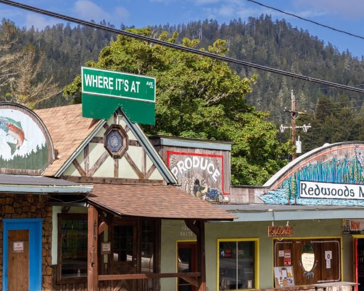 CCRP - Redwood Region RISE - Policy and Systems Change