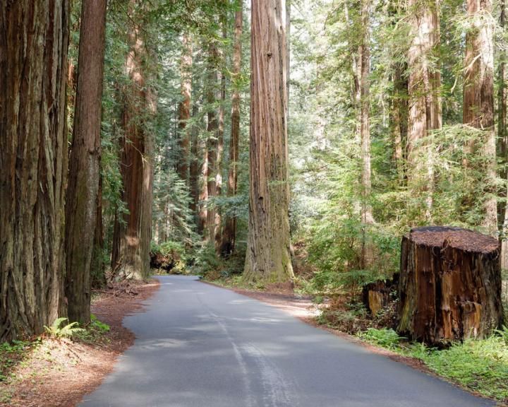 RRRISE project - Career Pathways: Fire, Forest, Fish & Facilities