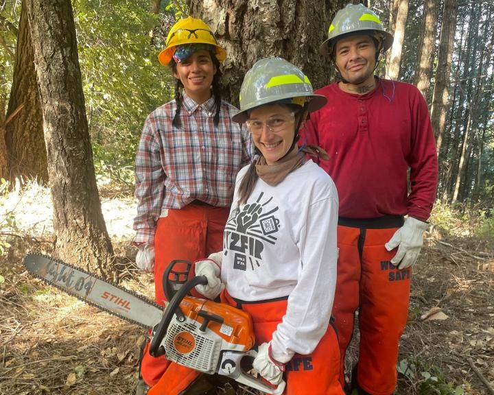 Redwood Region RISE - Career Pathways - Catalyst funding California Jobs First - Trees Foundation