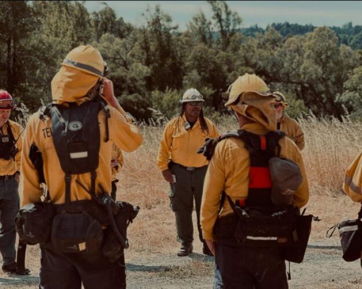 Redwood Region RISE - Career Pathways - Catalyst funding California Jobs First - Trees Foundation