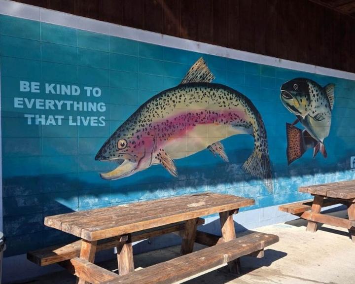 Redwood Region RISE - Arts, Culture, and Tourism Presentation - August 2026 Convening