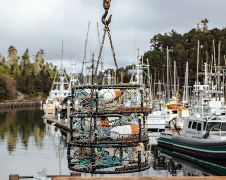 Redwood Region RISE - Working Lands and Blue Economy