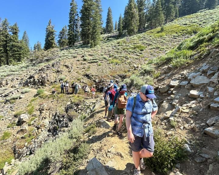 Group hiking on a hillside trail, trees in background