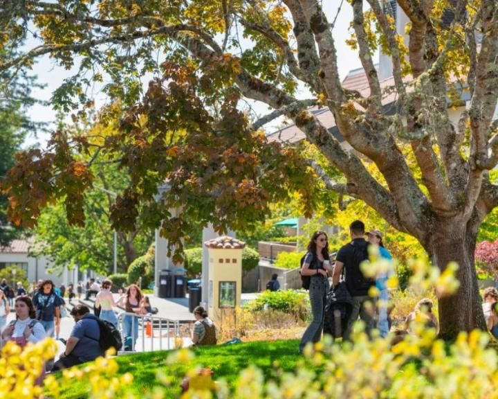 Outside of the cal poly humboldt library