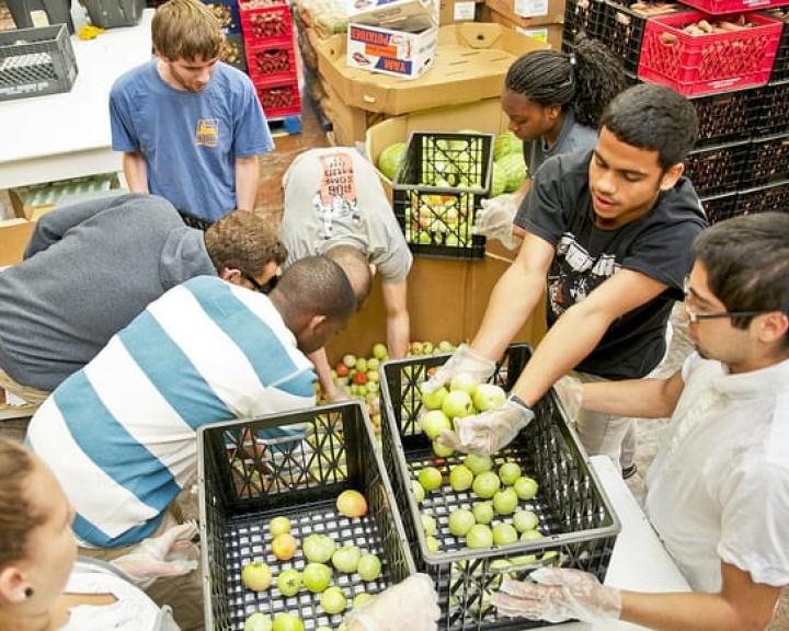 Students working in a food bank