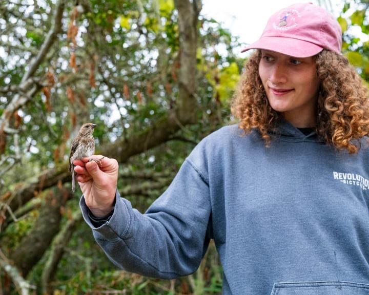 Woman holding a banded bird in the forest