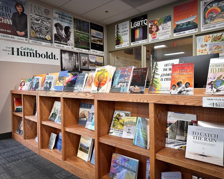 Three bookshelves with colorful books and colorful posters