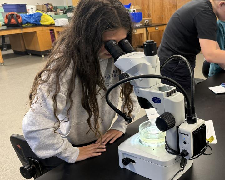 Microscope