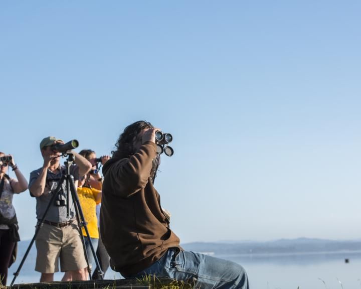 Students observing birds with binoculars