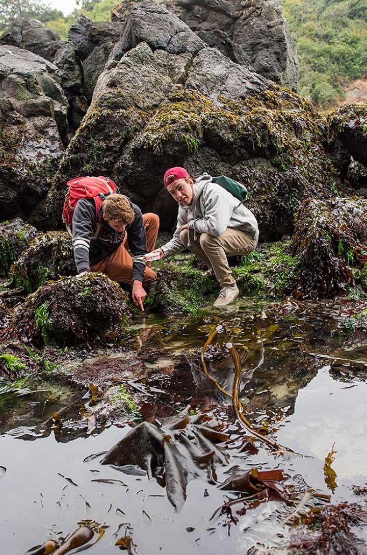 Rising Tides student tide pooling