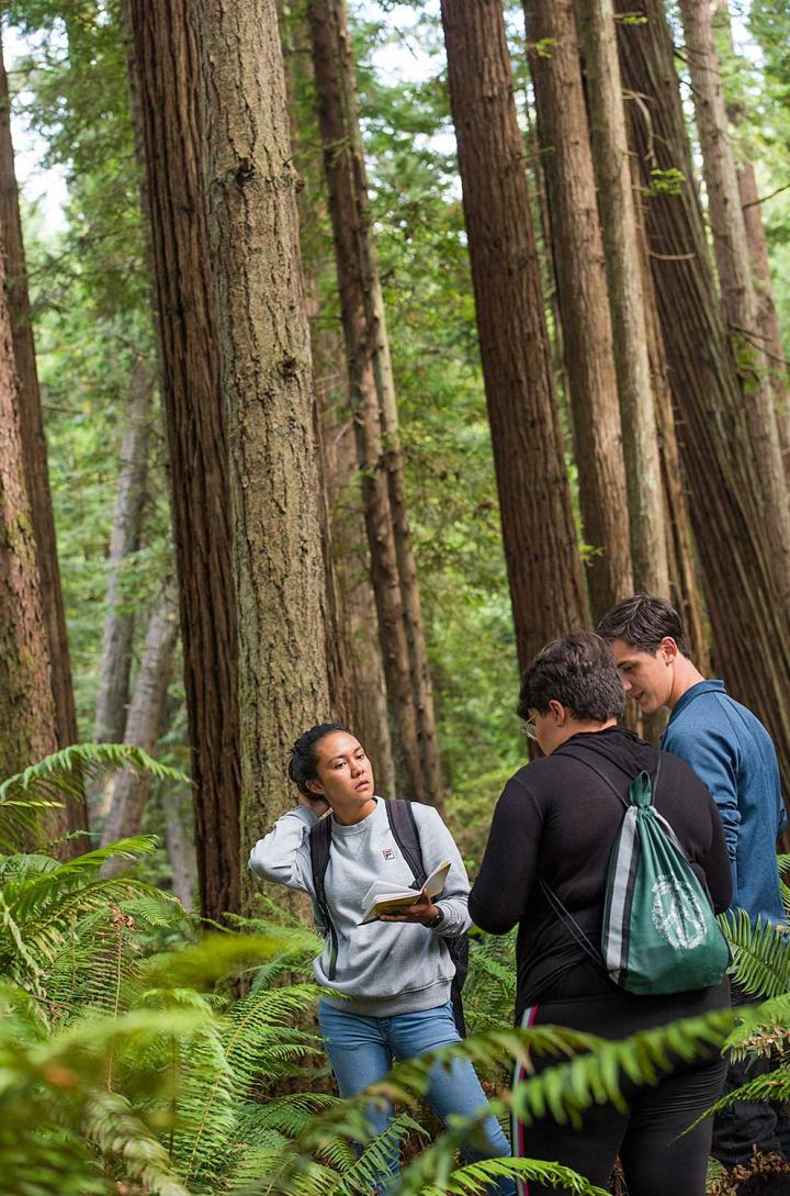 Among Giants Students in Forest