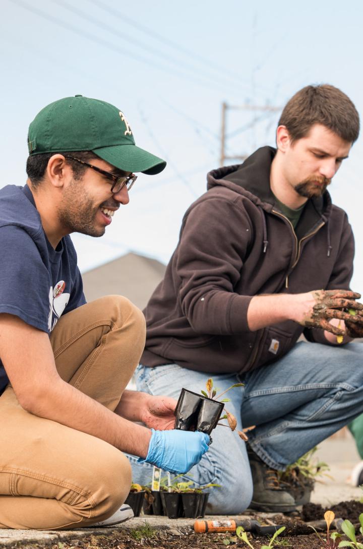Students planting flowers starts in the ground
