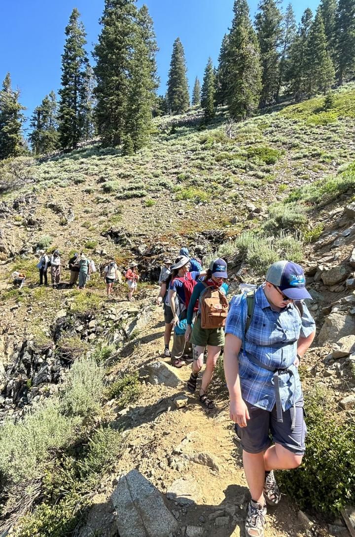 Group hiking on a hillside trail, trees in background