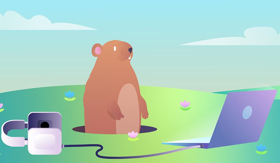 Gopher Hole with laptop cartoon