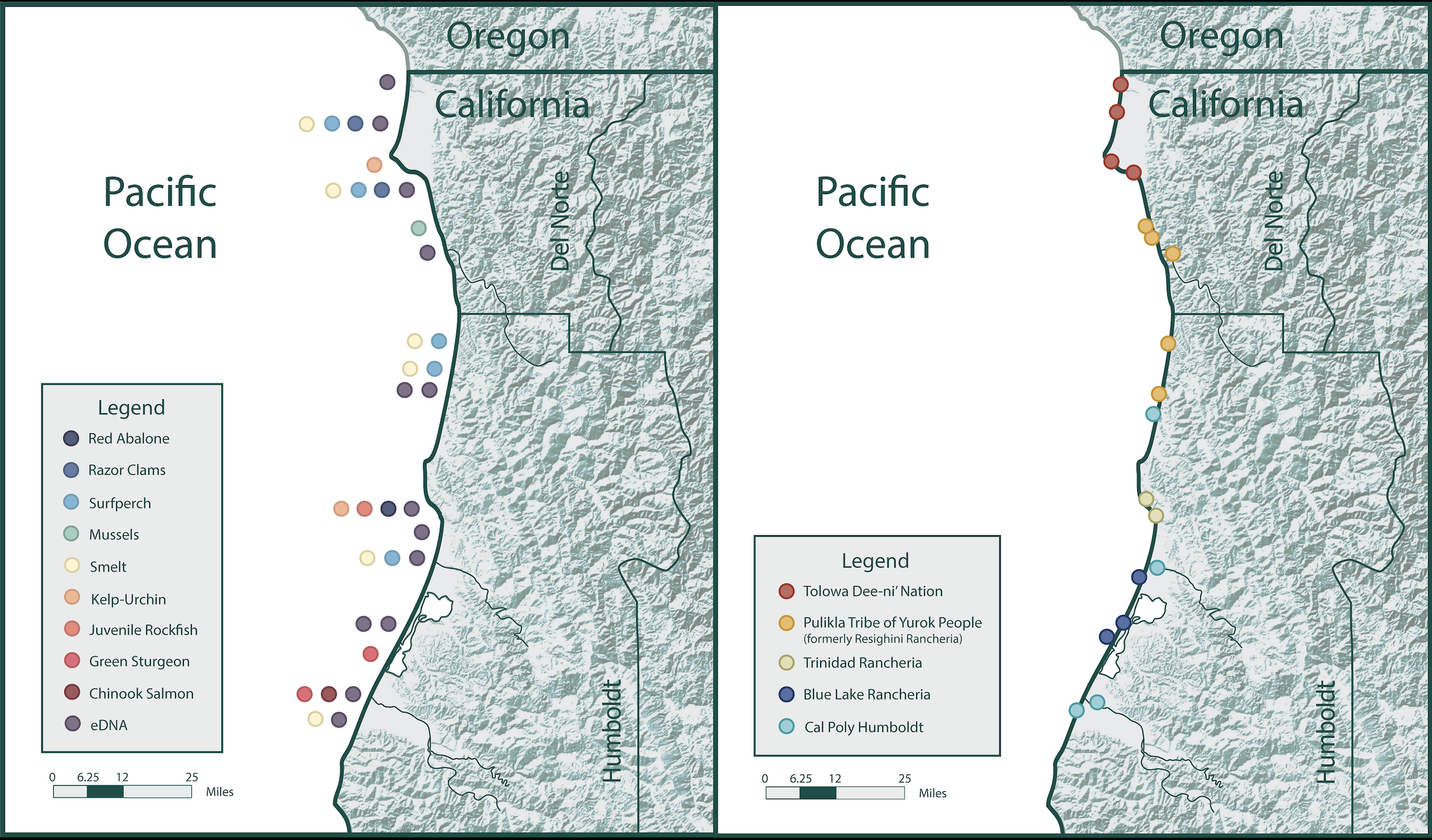 Map of the North Coast Tribal Fisheries Collaborative Partners and a Map of all sample sites organized by what species each partner samples for the species are red abalone, Razor clams, surfperch, Musscles, smelt, kelp, urchins, juvenile rockfish, green sturgeon, chinook salmon, and eDNA.