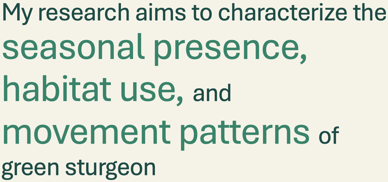 My research aims to characterize the seasonal presence, habitat use, and movement patterns of green sturgeon