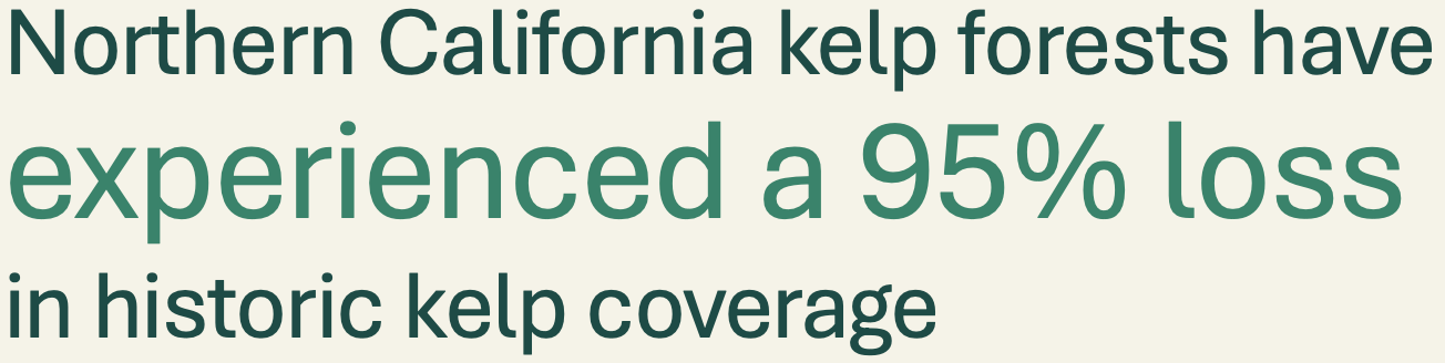 northern California kelp forests have experienced a 95% loss in historic kelp coverage