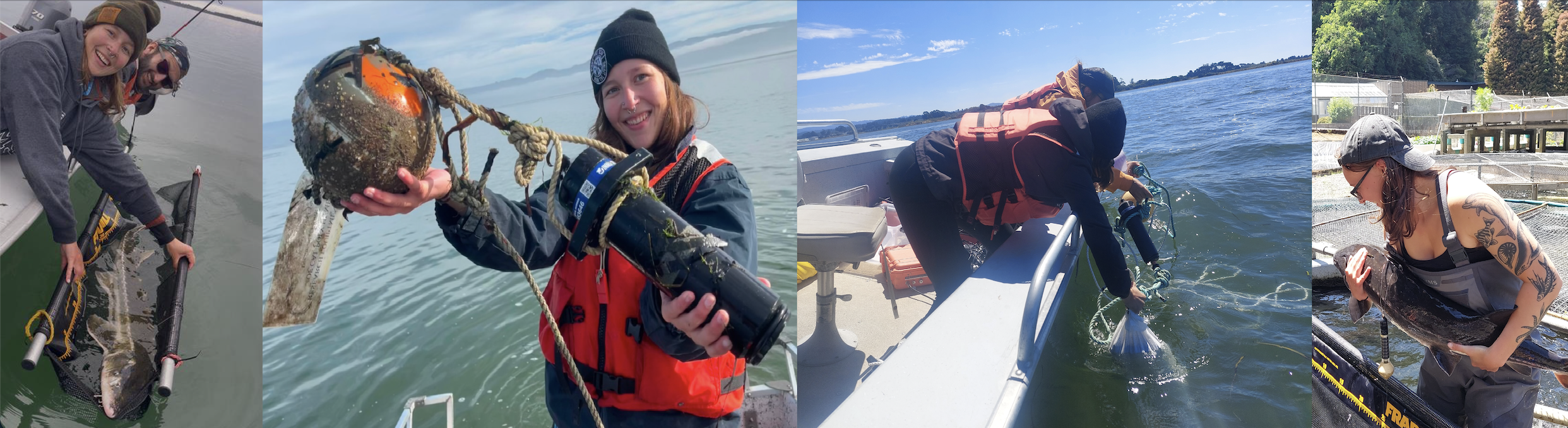 Fieldwork photos of the graduate student on the project with sturgeon