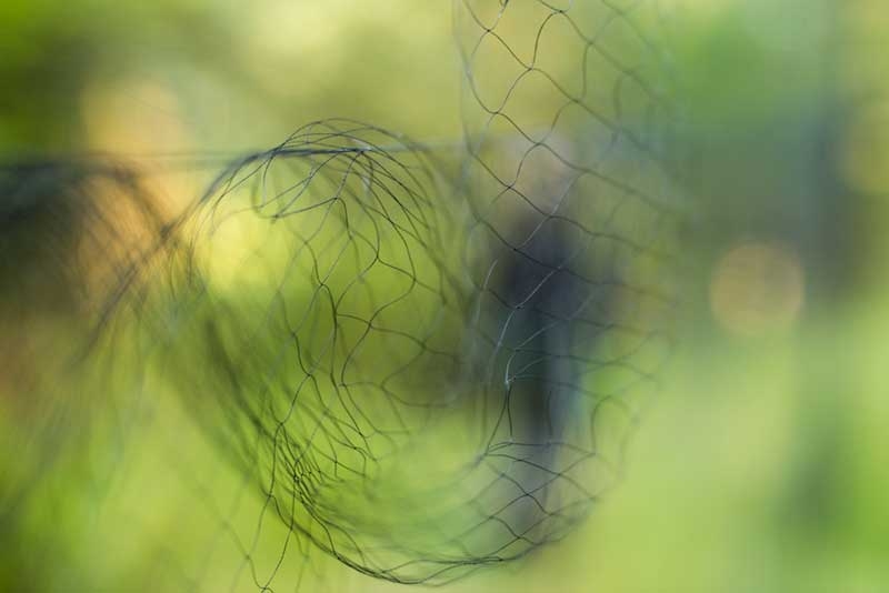 Fine nylon net