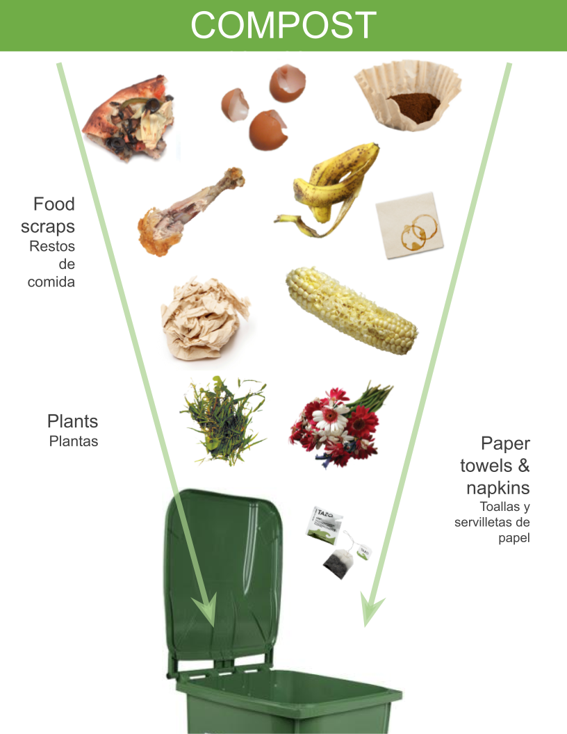 Graphic of items to compost