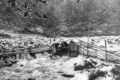 black and white photo of children checking a trout trap